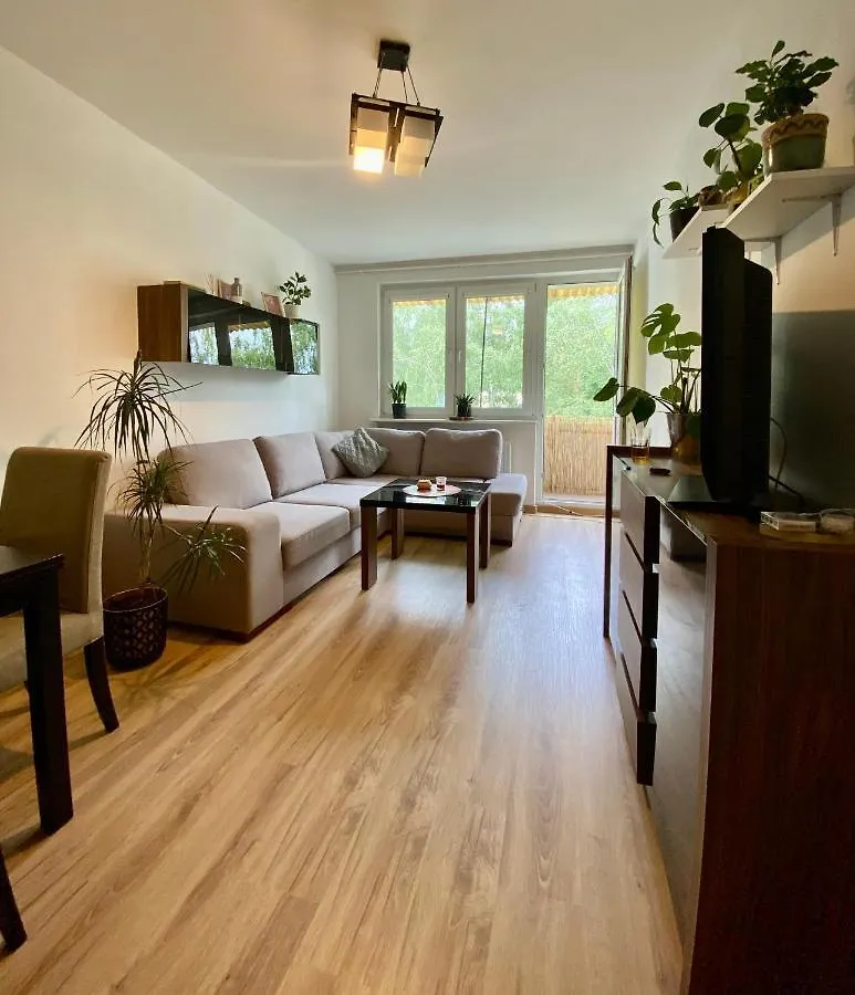 Apartaments Gdańsk Oliwa 0*,  Polska